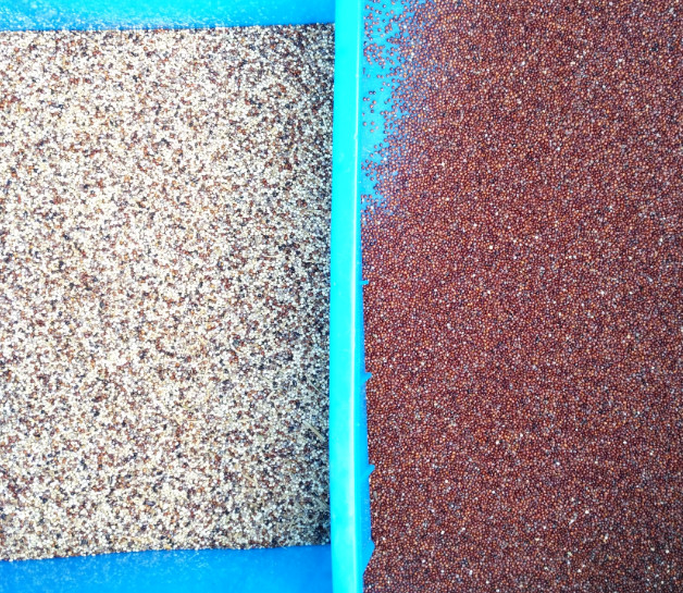 Máquina de clasificación de color de color de frambuesa Arroz de grano Caña de café Frutos secos Color de clasificación para fresa Fresa arándanos arándanos