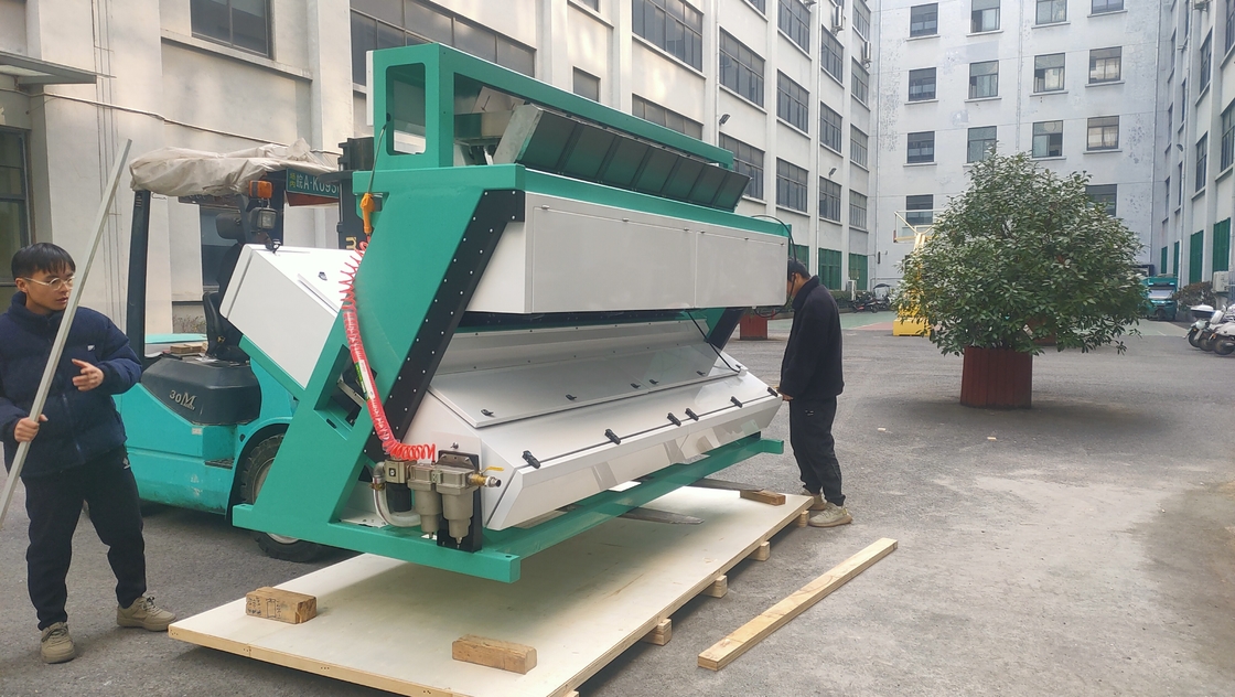 Máquina de clasificación de color de semillas WENYAO con una precisión de clasificación del 99,99%