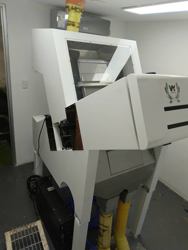 Wenyao 1 Chute Fruit Color Sorting Sea Buckthorn Color Sorting Machine (Machina de clasificación de colores de espino de mar)