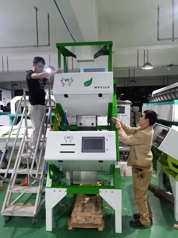 Anhui Wenyao Certificación CE Ordenador óptico de té Máquina de clasificación de colores CCD
