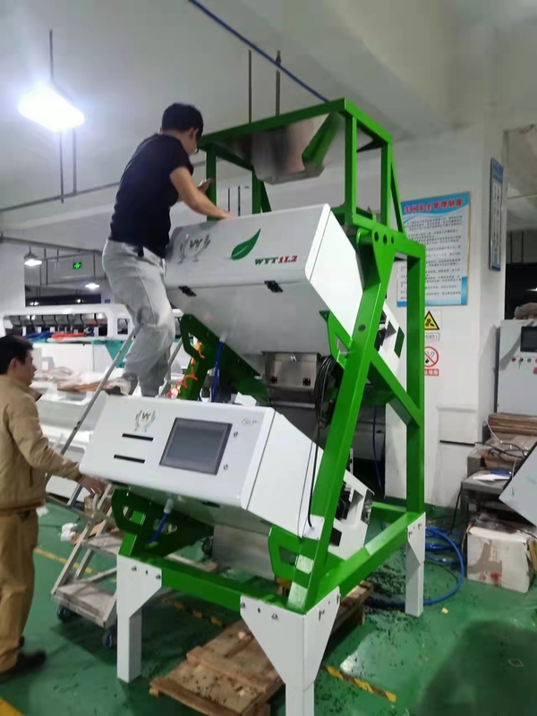 Anhui Wenyao Certificación CE Ordenador óptico de té Máquina de clasificación de colores CCD