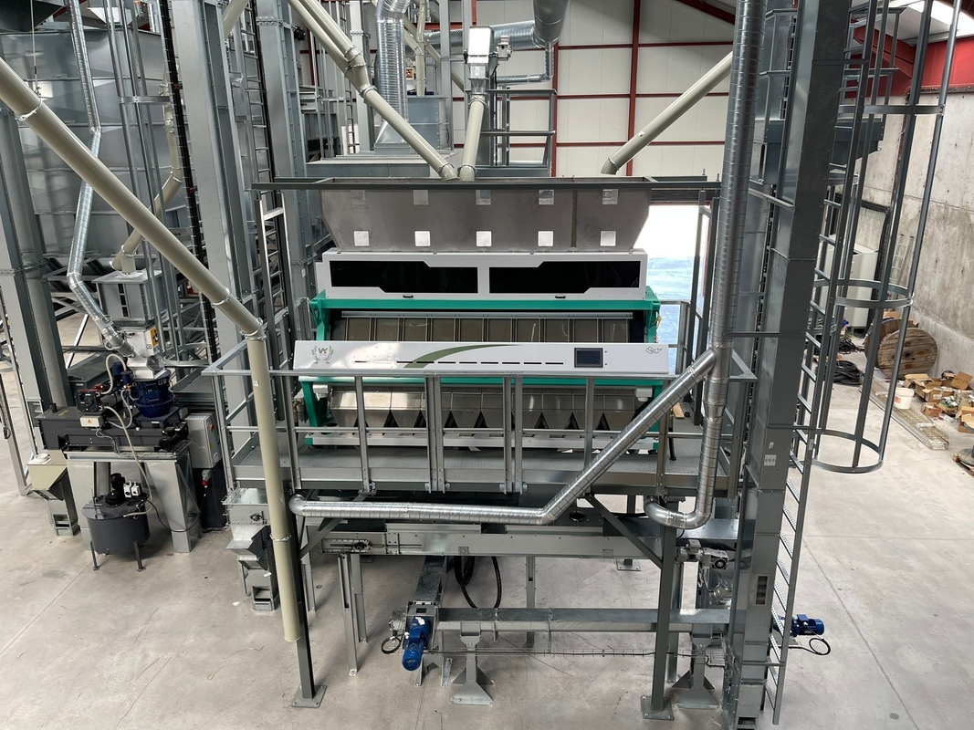 Wenyao Máquina automática de clasificación de color de arroz Separación de color de grano 10 Chute