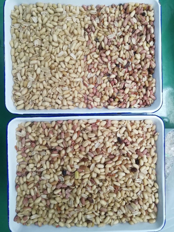 Sortador de color preciso para una amplia gama de existencias a granel basado en el análisis del producto por color
