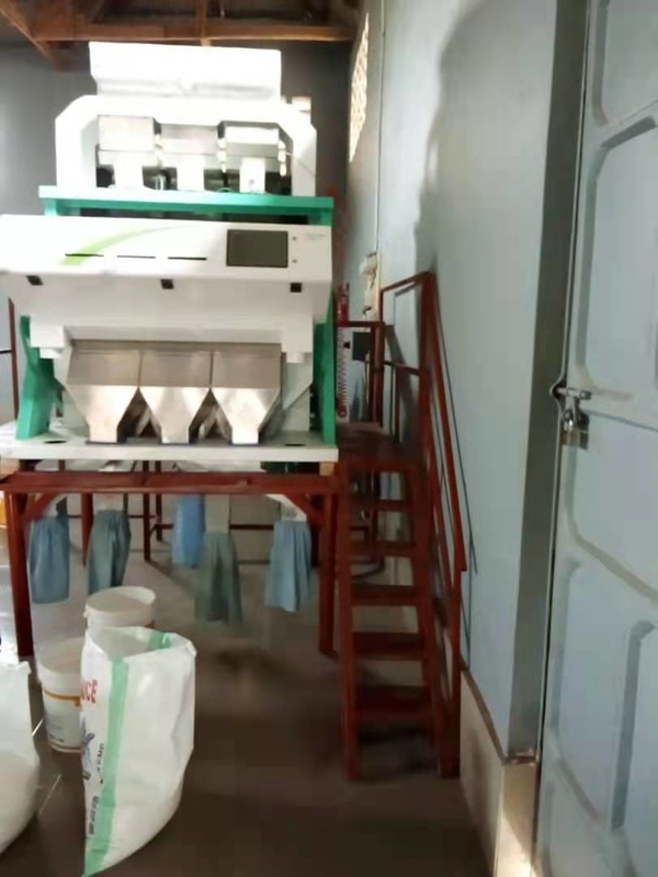 WENYAO Máquina para clasificar el gusano del pan y el gusano de la comida