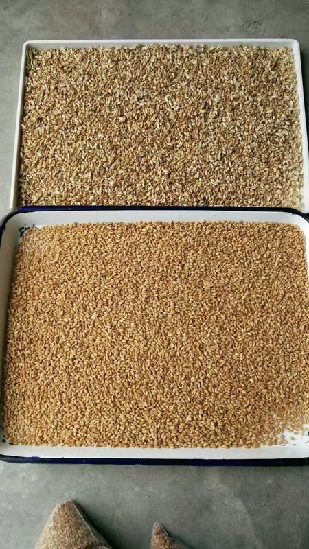 CCD Sésamo / soja / sorgo / mijo / trigo / maíz / maíz / arroz blanco máquina de clasificación de colores Wenyao