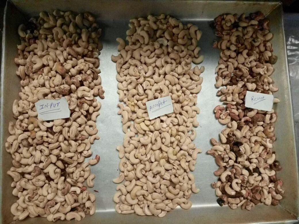 Wenyao Macadamia Color Sorter Nueces Color Selector Máquina Nueces de anacardos máquina de clasificación