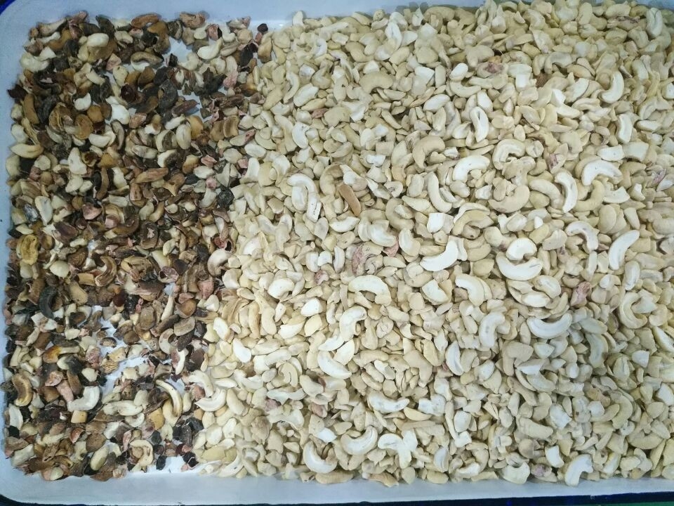 Wenyao Macadamia Color Sorter Nueces Color Selector Máquina Nueces de anacardos máquina de clasificación