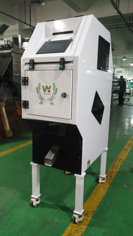 WYCS1-32 Máquina de clasificación CCD de nueces de macadamia inteligente Maquina de selección de arroz Máquina de clasificación de color de cereales Precio bajo