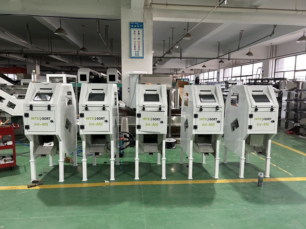 WYCS1-32 Máquina de clasificación CCD de nueces de macadamia inteligente Maquina de selección de arroz Máquina de clasificación de color de cereales Precio bajo