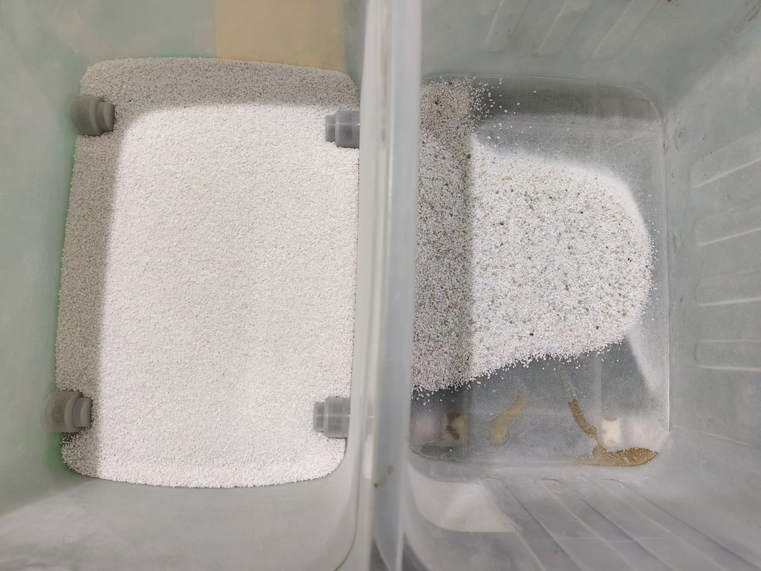 Hoppers de acero inoxidable máquina de clasificación de color de sal húmeda con cámara de Ccd completa