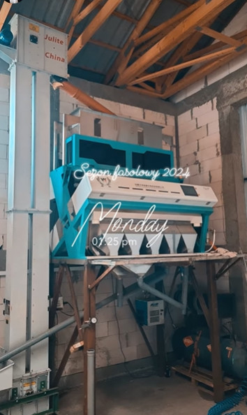 Wenyao CCD 2025 Máquina de clasificación de color de especias para pimienta de Szechuan