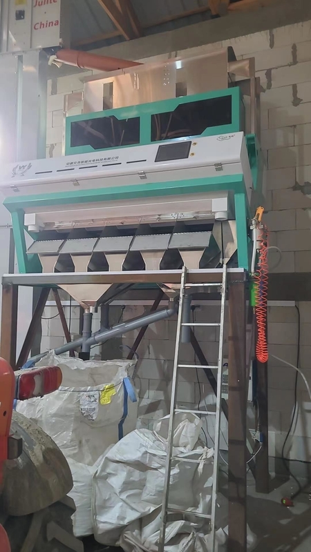 Wenyao CCD 2025 Máquina de clasificación de color de especias para pimienta de Szechuan