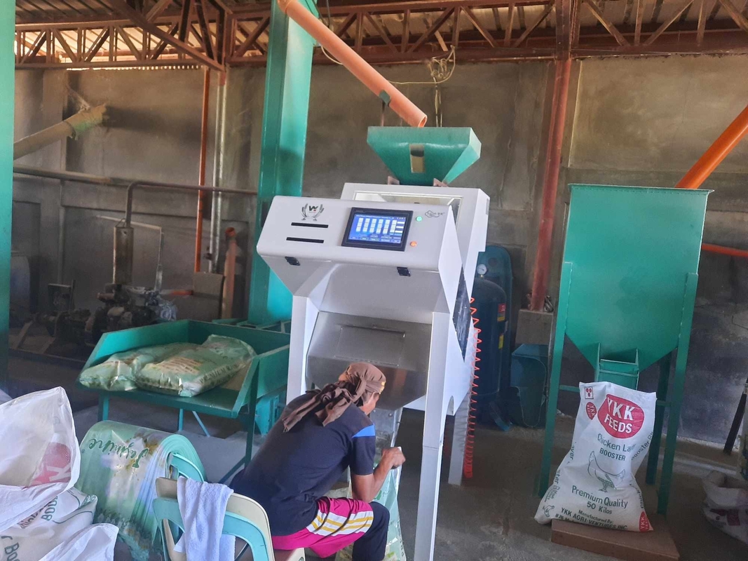 Máquina automática de clasificación de color de pasas de uva Wenyao