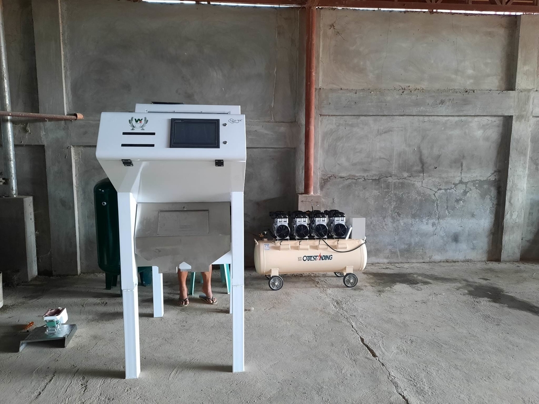 Máquina de clasificación de color de nueces de anacardos profesional de Wenyao