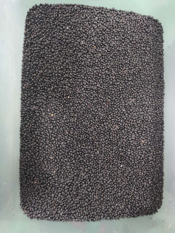 Wenyao Maquinaria para clasificar el color de frijoles negros