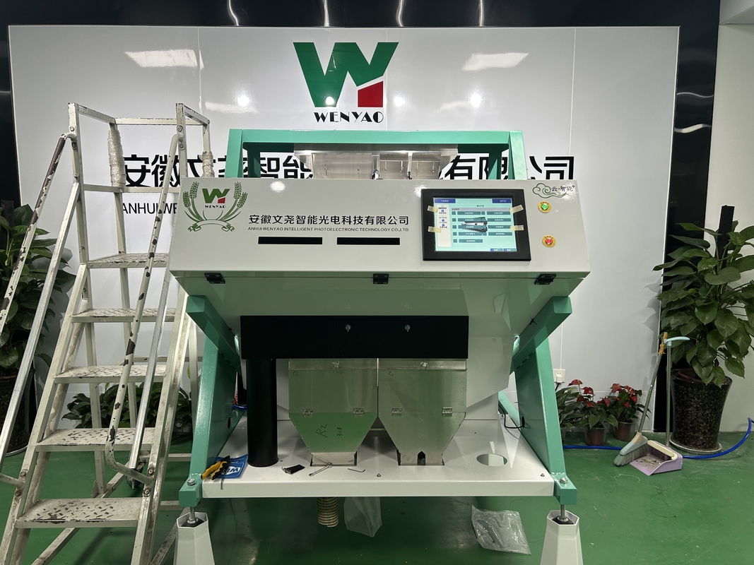 Wenyao 500-1500 kg/h Granos de café Arroz Garín Color Sortador óptico de colores de cereales