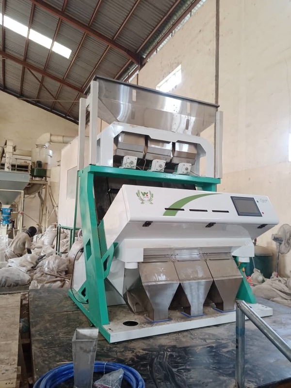 Wenyao 3 Chute Sortidor de color de frijoles negros Máquina inteligente de clasificación de colores de frijoles