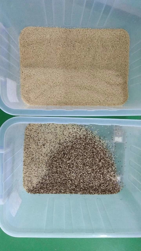 Wenyao 500-1500 kg/h Granos de café Arroz Garín Color Sortador óptico de colores de cereales