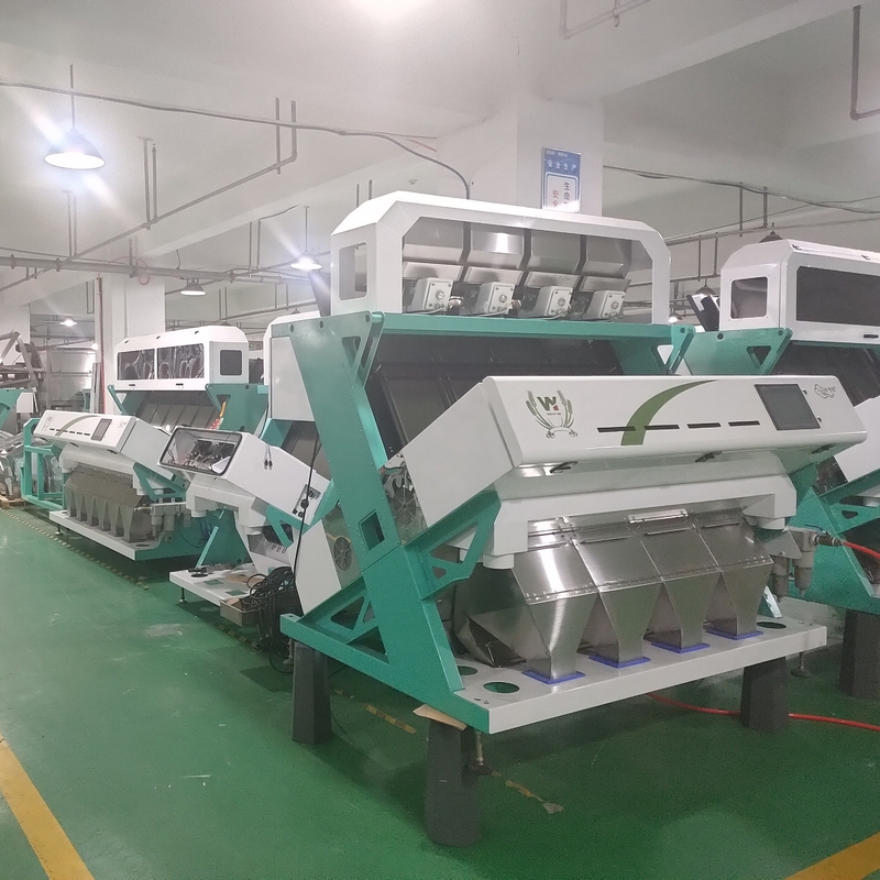Wenyao automático clasificador de colores de avellana máquina de clasificación de colores de nueces multifunción