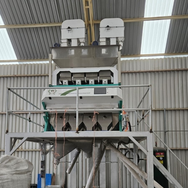Wenyao automático clasificador de colores de avellana máquina de clasificación de colores de nueces multifunción