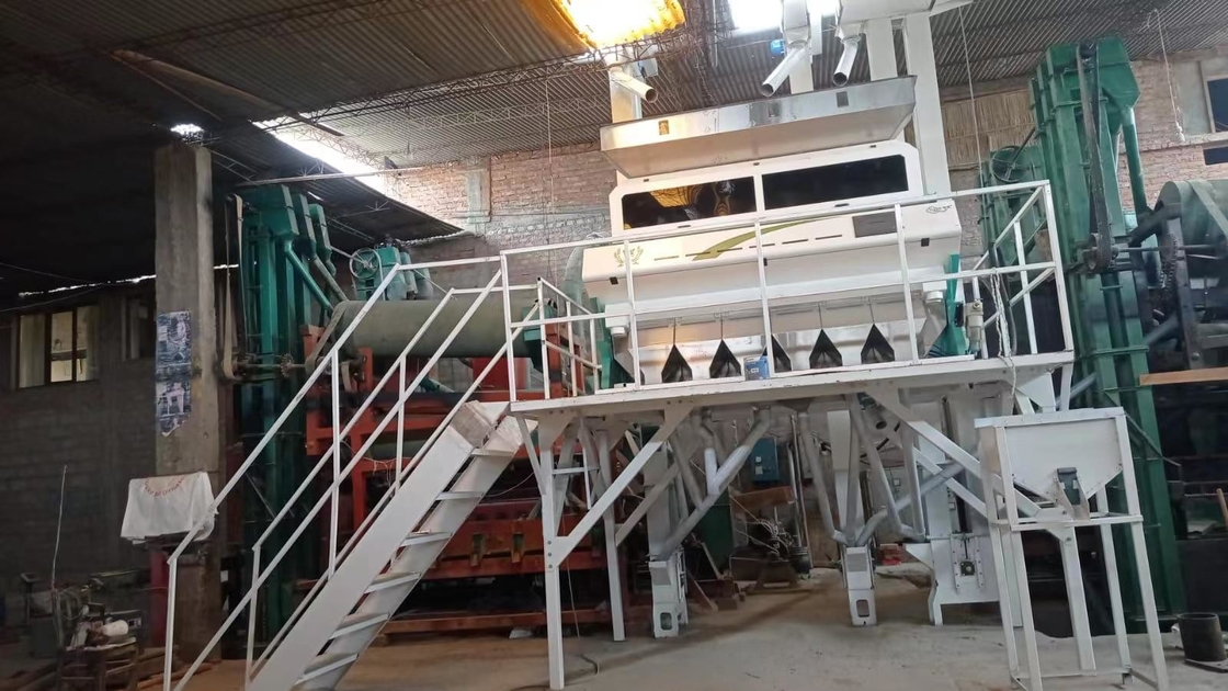 Wenyao Intelligent CCD Camera Chut Style Color Sorter Maquina para clasificar el color del trigo