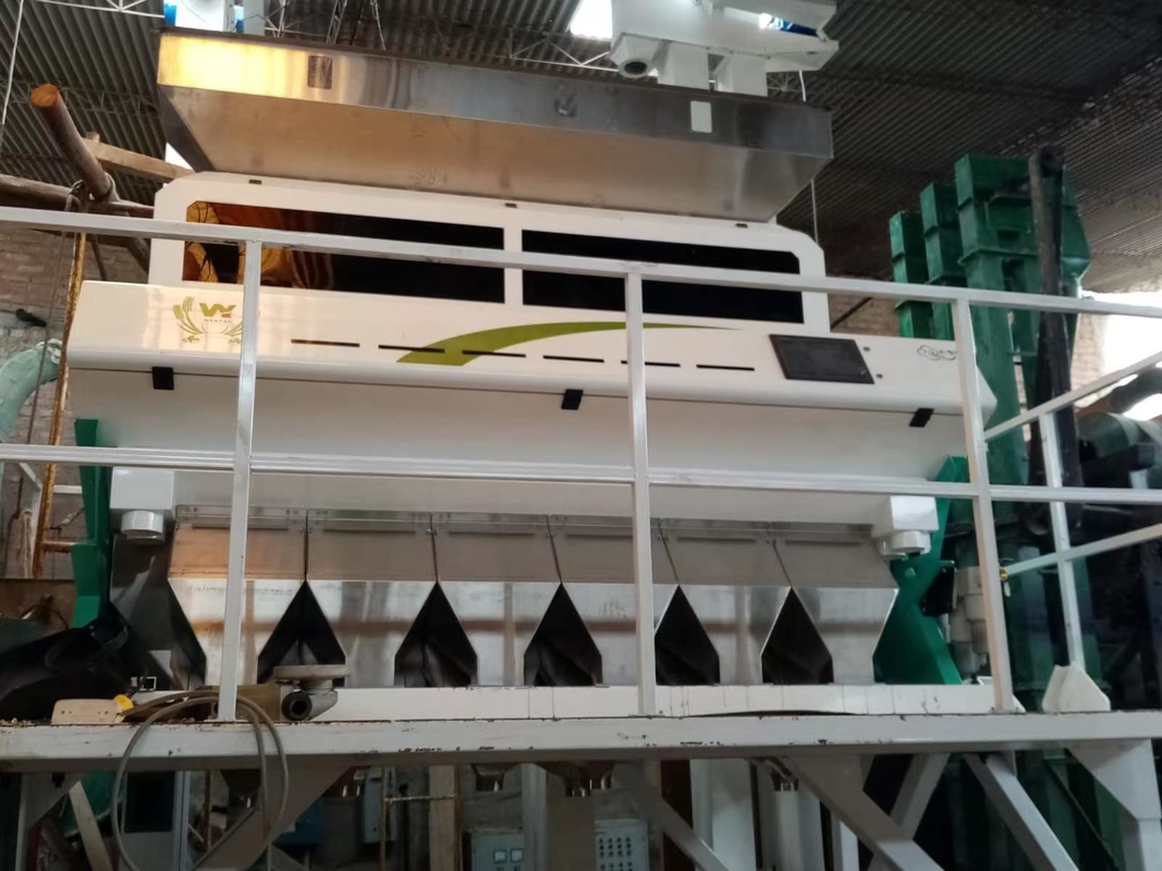 Máquina de clasificación de colores de garbanzo inteligente Wenyao
