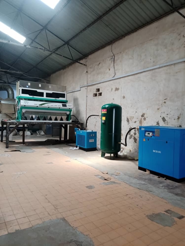 Wenyao Noz de avellana Color Sortador Nueces Color Sorting Machine