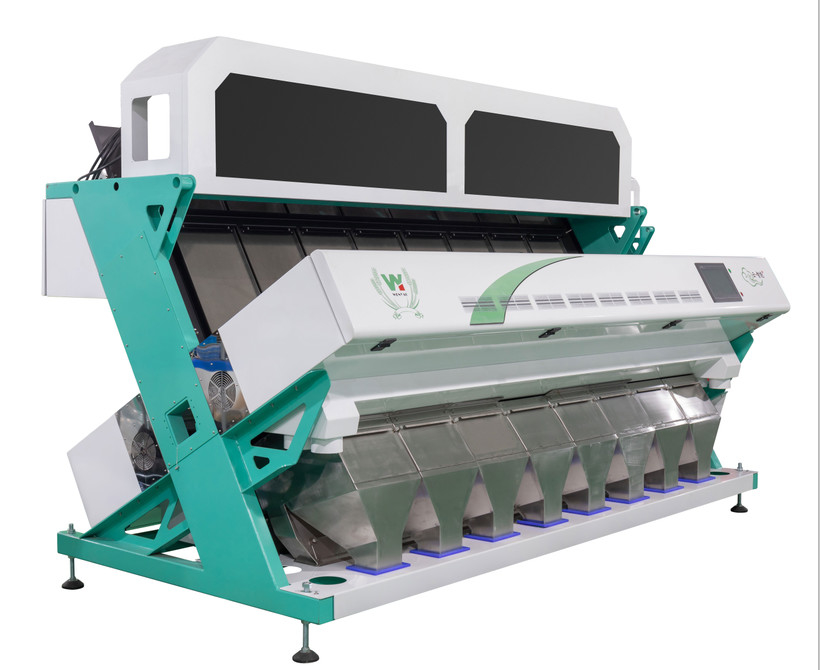 Wenyao Chute estilo Gran precisión de clasificación Máquina de clasificación de colores de granos de café Color Sortador