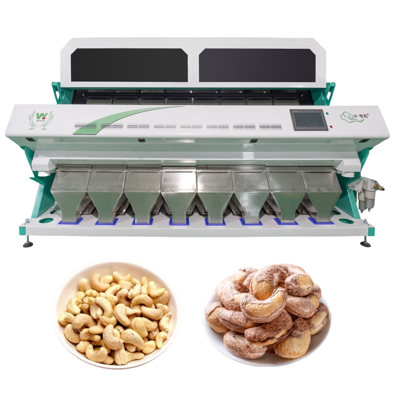 Máquina de clasificación de color de nueces de anacardos CCD cámara clasificador de color inteligente para nueces y frijoles