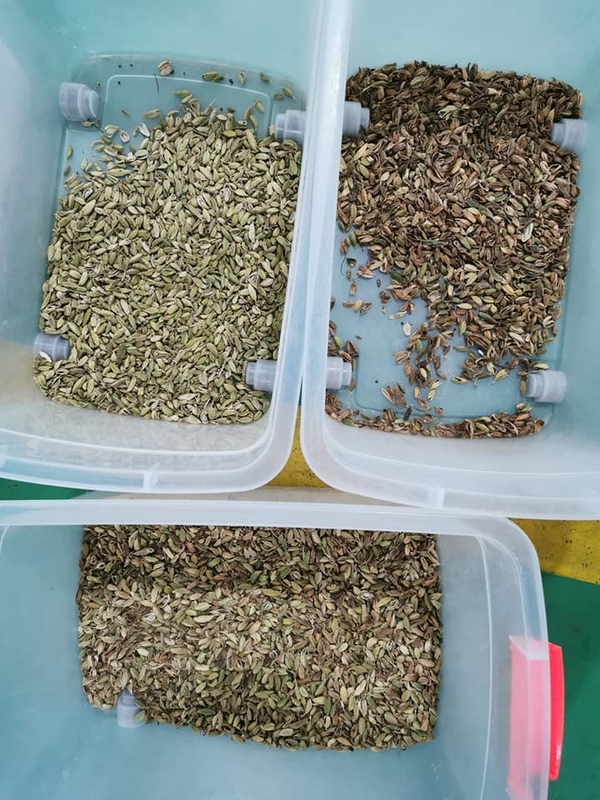 Máquina de clasificación de colores profesional de Wenyao clasificadora automática de colores de cardamomo