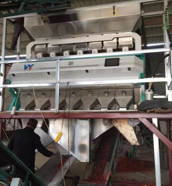 WenYao Semillas de cacahuete Peonía Zanahoria Semillas de sandía Color Sortador Máquina de selección de semillas Máquina Selector de color
