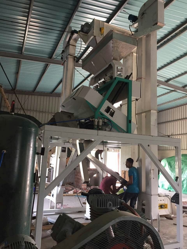 WenYao máquina de separación de nueces castañas y nueces clasificador de color para limpieza y clasificación de cacahuetes