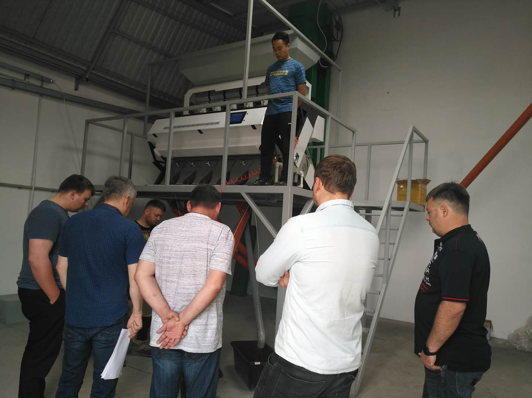 Wenyao Arroz Color Sortador Arroz Sortadora de la máquina 3700W
