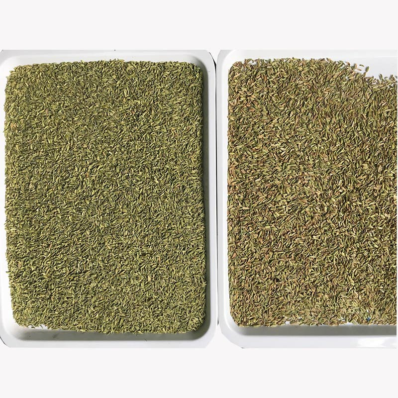 China Venta caliente Máquina inteligente automática de clasificación de color de semillas de cilantro de cebada Wehat