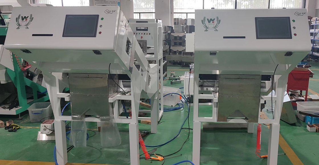 Fabrica de Wenyao Máquina de clasificación de colores de café y cerezas clasificadora automática de colores