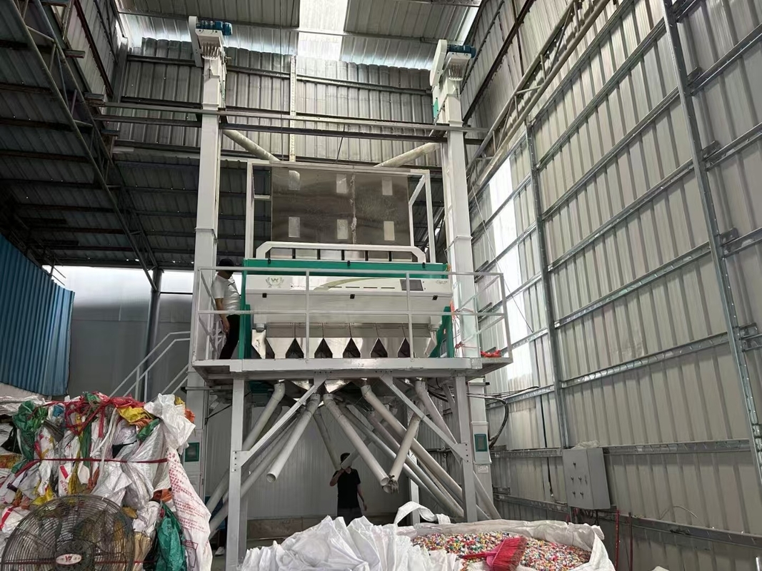 Granos de trigo sarraceno y quinoa Sorting de color Semillas de lino Cereales gruesos Máquina de clasificación de color