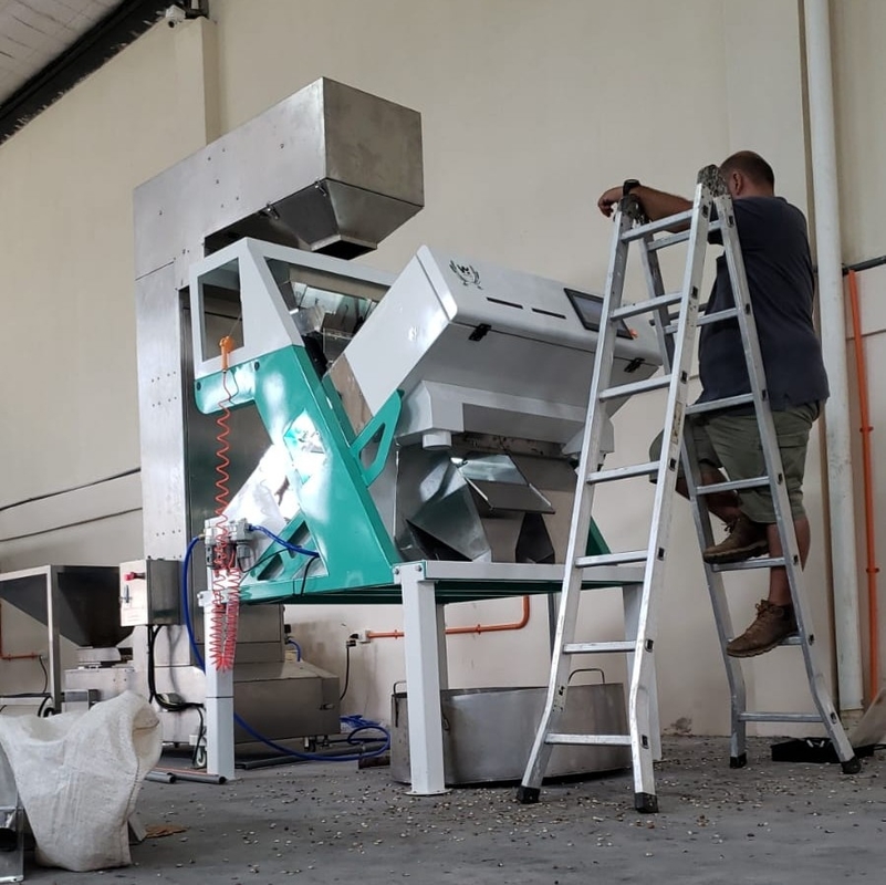 Wenyao Professional Red Renal Color Sorter de frijoles Máquina de clasificación óptica de colores para frijoles granos