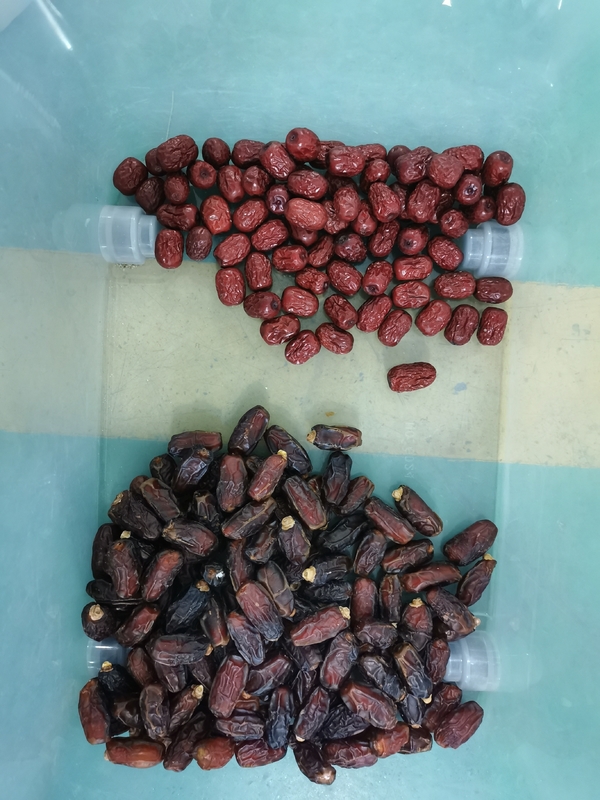 Máquina de clasificación de color de yujuba roja clasificadora automática de colores para nueces y frijoles