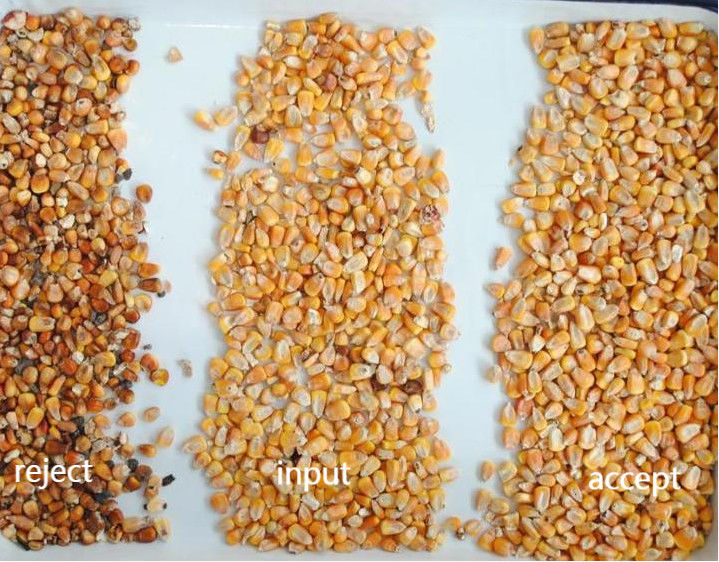 Wenyao Infrarrojo CCD cámara de grano máquina de clasificación de color óptico de maíz de cacahuate clasificador de color