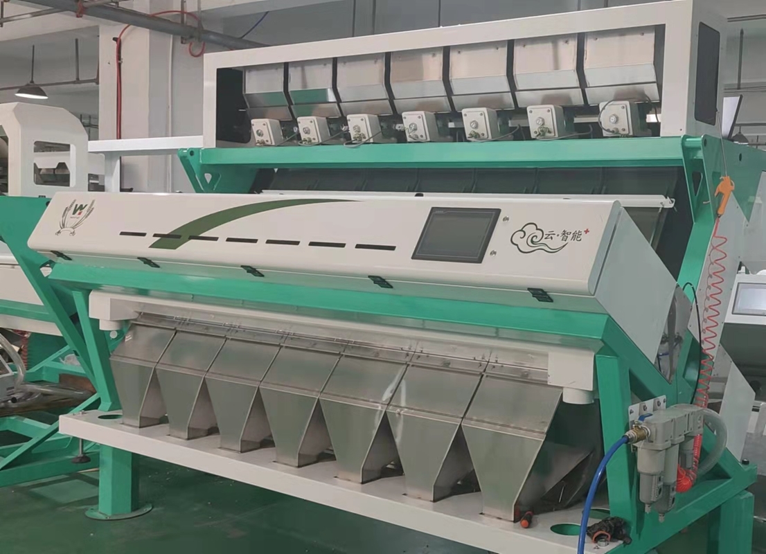 Máquina de clasificación de granos multifunción con cámara CCD clasificador de colores inteligente