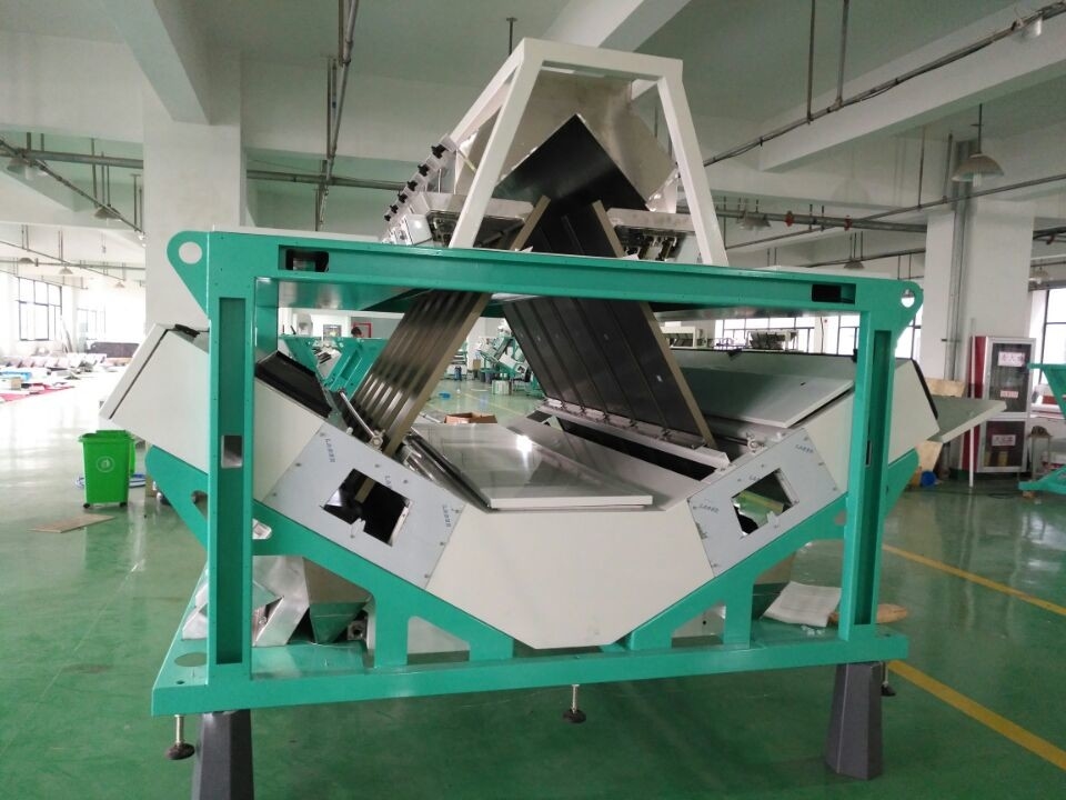 Wenyao 12 Chute Máquina de clasificación de color de trigo de gran capacidad clasificadora automática de color de grano