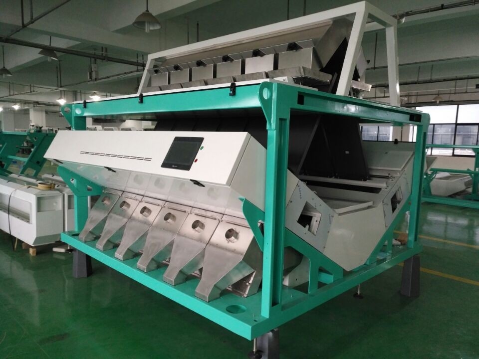 Wenyao 12 Chute Máquina de clasificación de color de trigo de gran capacidad clasificadora automática de color de grano