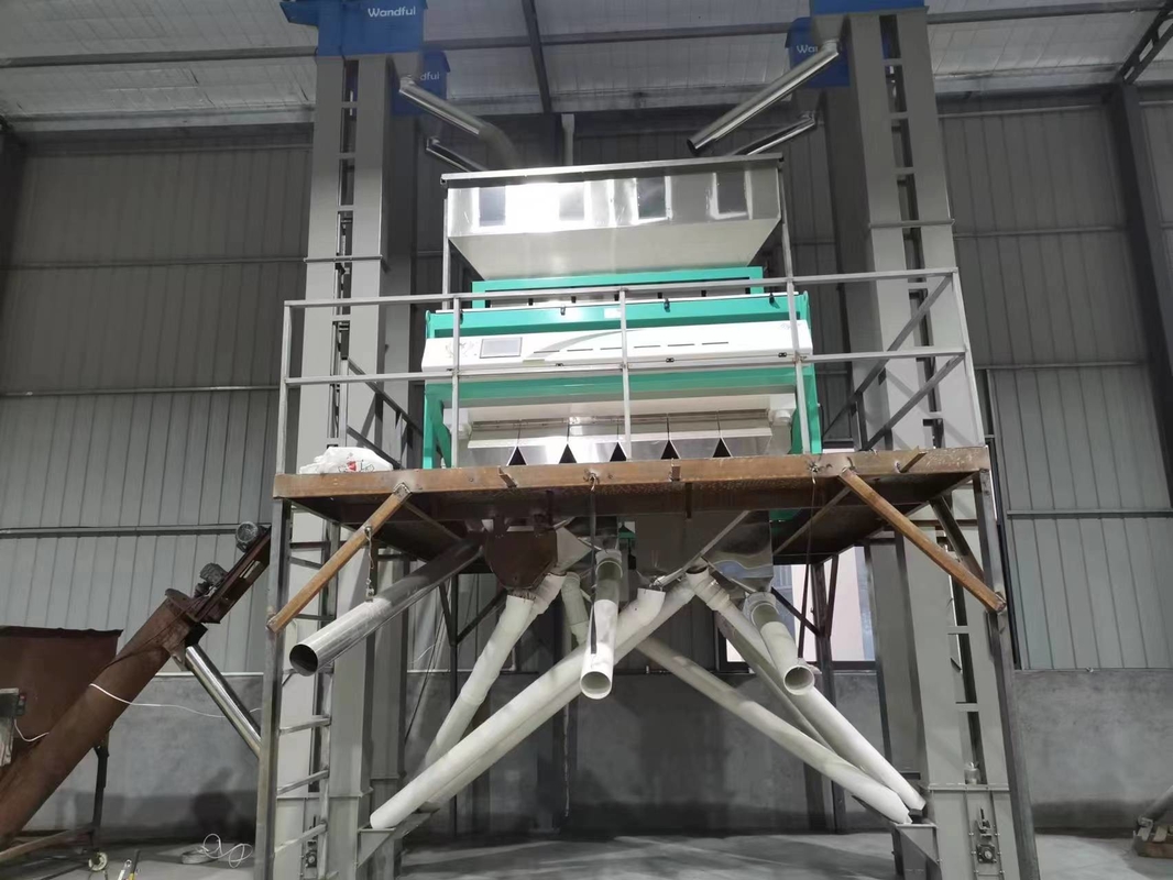 Wenyao 12 Chute Máquina de clasificación de color de trigo de gran capacidad clasificadora automática de color de grano