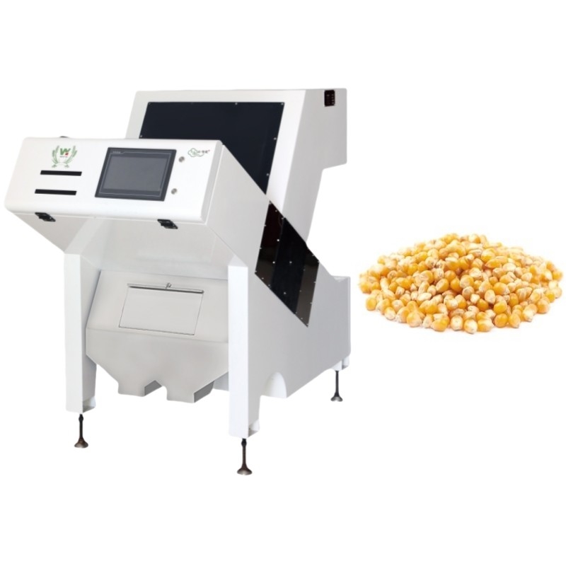 Máquina de separación de color de maíz de Wenyao clasificador automático de color para granos cultivos de arroz