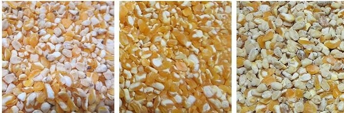Máquina de separación de color de maíz de Wenyao clasificador automático de color para granos cultivos de arroz