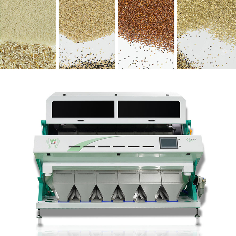 Máquina de clasificación de colores de semillas de lino con cámara CCD inteligente