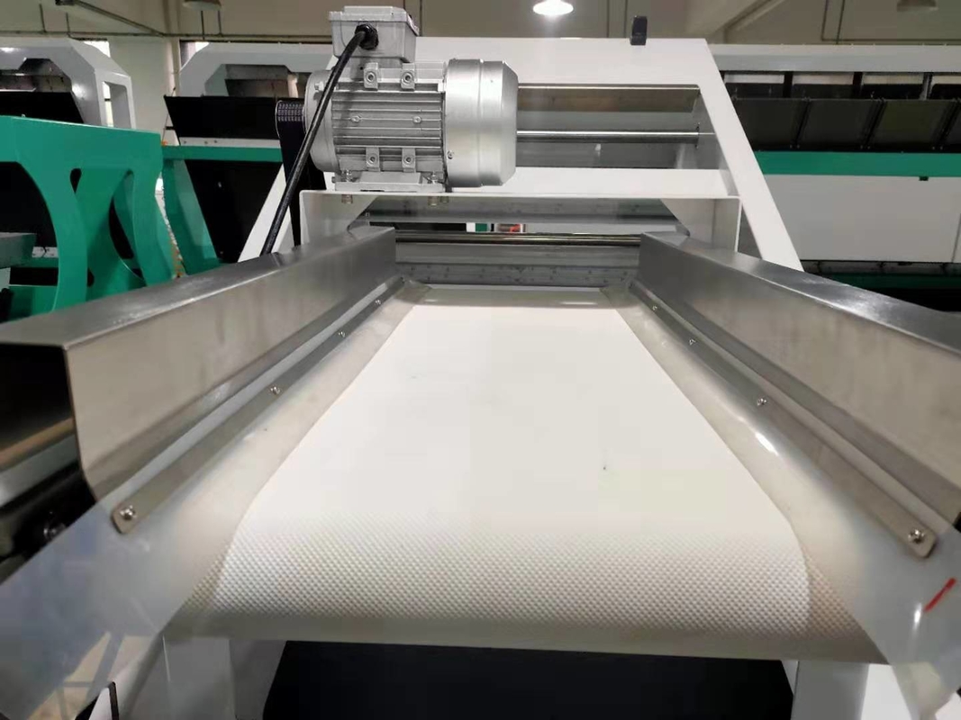 Máquina de clasificación de color de arándanos Mini cinturón clasificador de color para frutas frescas