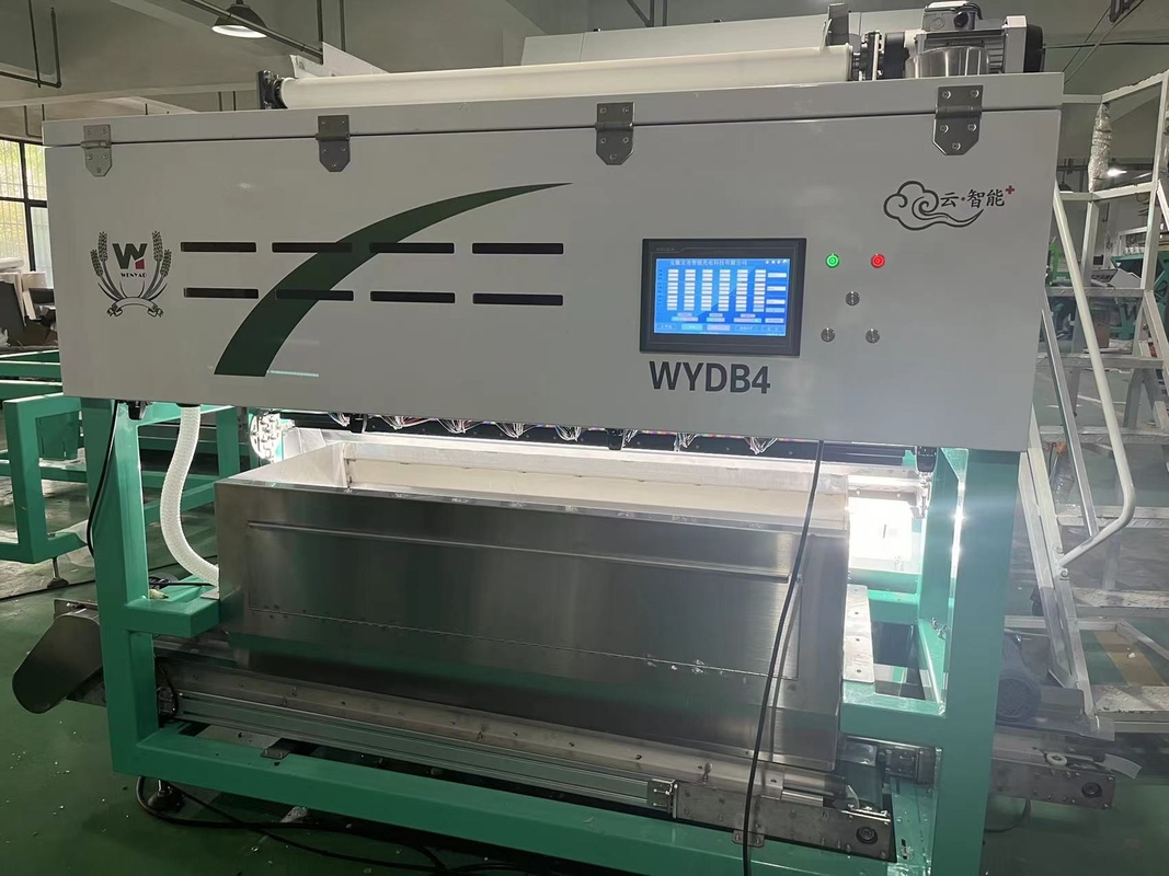 Wenyao Sortidor de color de fresa cinturón inteligente máquina de clasificación de color para frutas congeladas café cerezo arándanos fresa