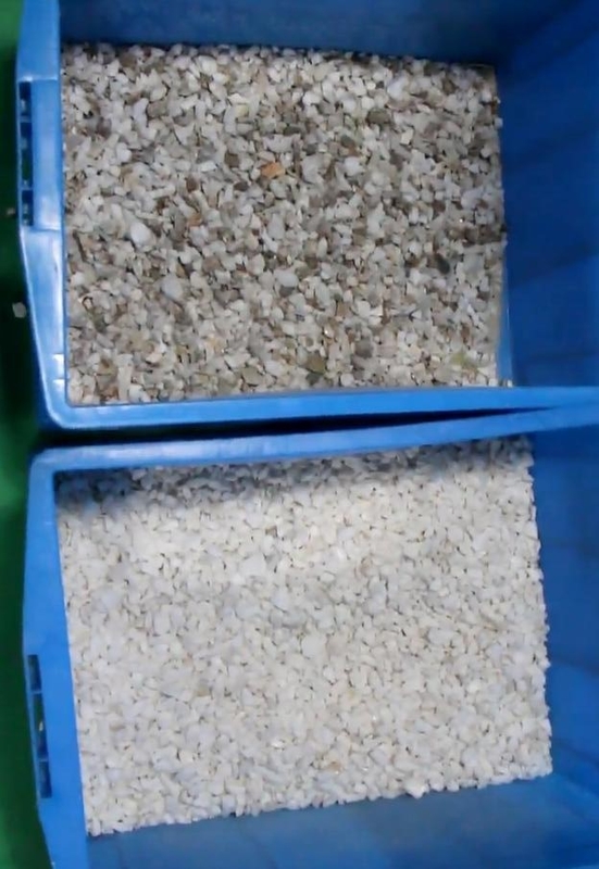 Máquina para clasificar el color de las partículas de mineral de Wenyao Máquina para minería Máquina para clasificar el color de la forma