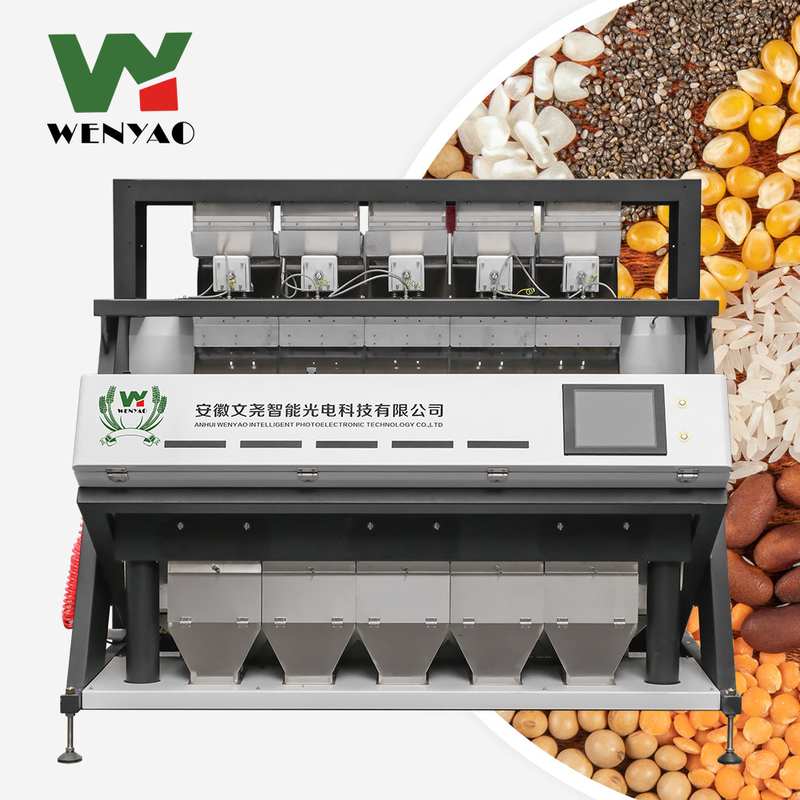 Máquina de clasificación de nueces de macadamia de gran capacidad